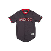 Diablos Rojos del M��xico LMB 100th Anniversary Gray Alt Jersey