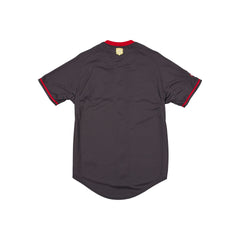 Diablos Rojos del M��xico LMB 100th Anniversary Gray Alt Jersey