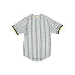 Pericos de Puebla LMB 100th Anniversary Alt Jersey