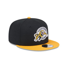Hamilton Tiger-Cats Team 9FIFTY Snapback Hat