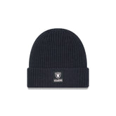 Las Vegas Raiders 2025 Sideline Cold Weather Steel Clouds Cuff Knit Beanie