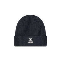Las Vegas Raiders 2025 Sideline Cold Weather Steel Clouds Cuff Knit Beanie