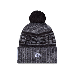 Pittsburgh Steelers 2025 Sideline Cold Weather Gray Pom Knit Hat