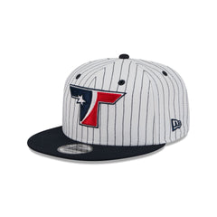 Houston Texans Deceptor Pinstripe 9FIFTY Snapback Hat