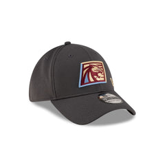 Michigan Panthers Gray 39THIRTY Stretch Fit Hat