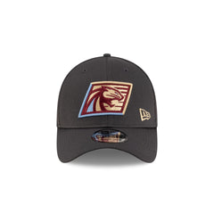 Michigan Panthers Gray 39THIRTY Stretch Fit Hat