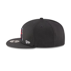 Houston Roughnecks Gray 9FIFTY Snapback Hat