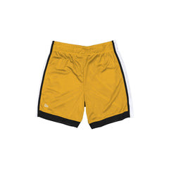 Pittsburgh Steelers Team Color Summer Shorts