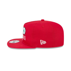 Ohio State Buckeyes Script 19TWENTY Snapback Hat