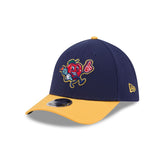 Hudson Valley Renegades Theme Night 39THIRTY M-Crown Stretch Fit Hat