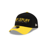 Harry Potter Hufflepuff 9FORTY A-Frame Snapback Hat
