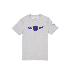 Detroit Tigers City Connect Gray T-Shirt