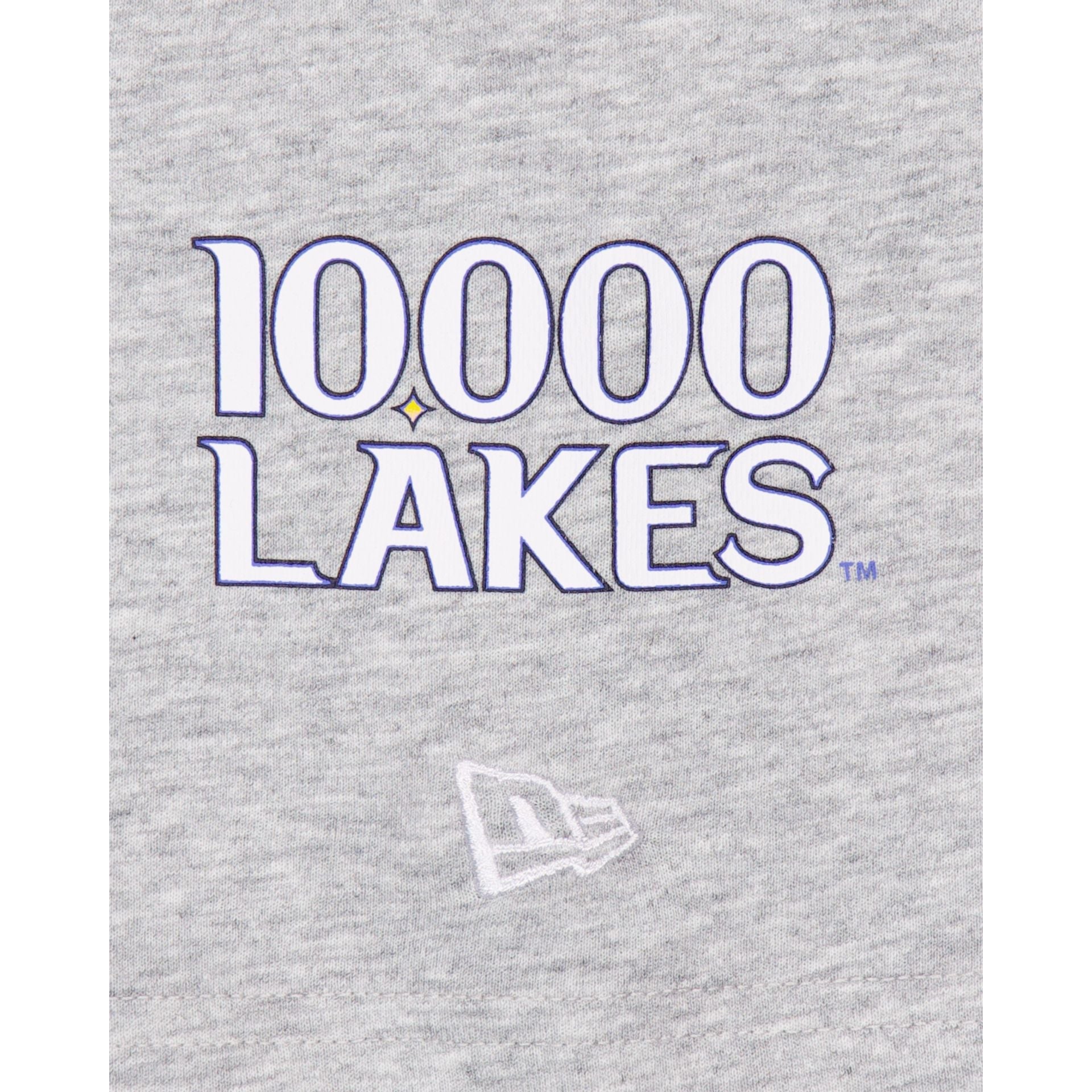 Minnesota Twins City Connect Gray T-Shirt