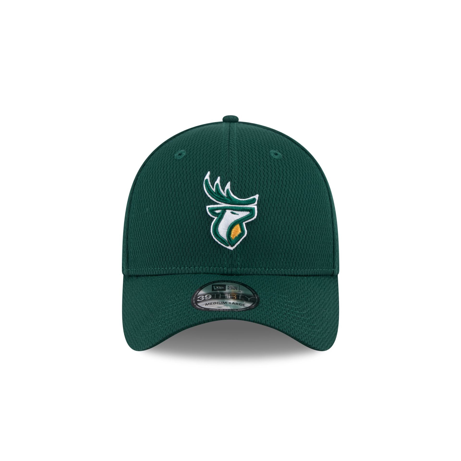 Edmonton Elks Rear Wordmark 39THIRTY Stretch Fit Hat