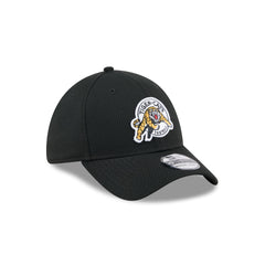 Hamilton Tiger-Cats Rear Wordmark 39THIRTY Stretch Fit Hat