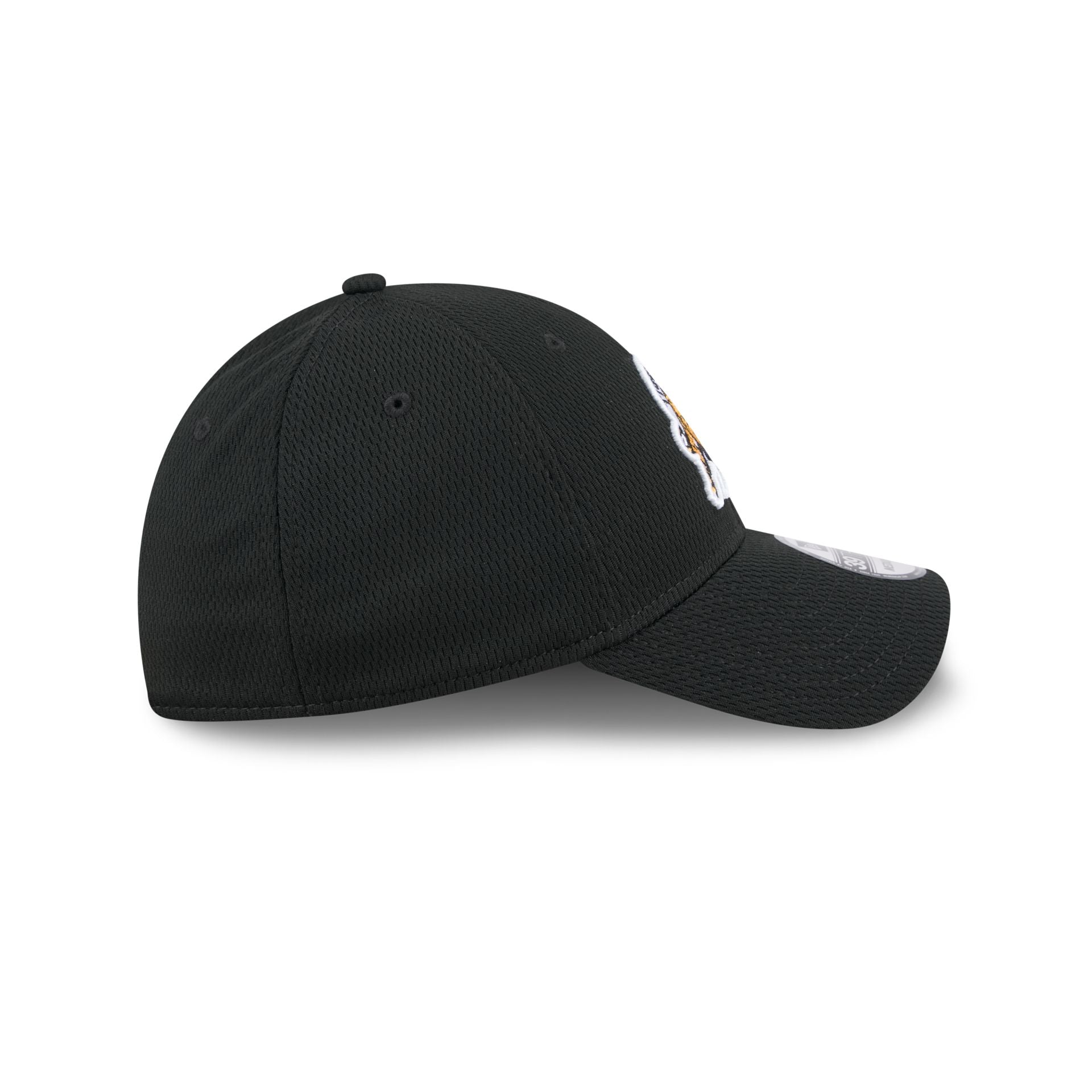 Hamilton Tiger-Cats Rear Wordmark 39THIRTY Stretch Fit Hat