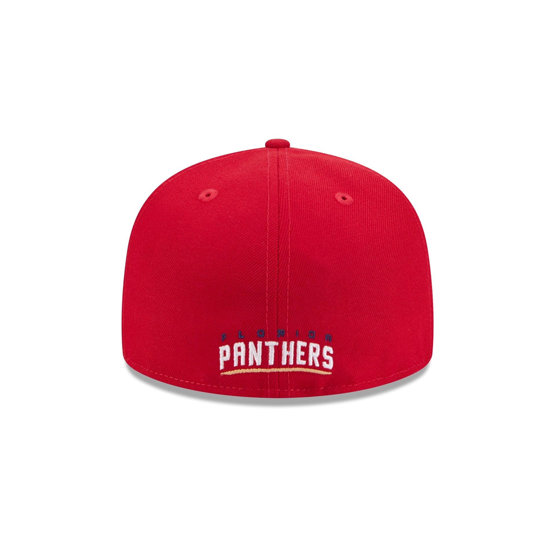 Florida Panthers Rear Wordmark 59FIFTY Fitted Hat