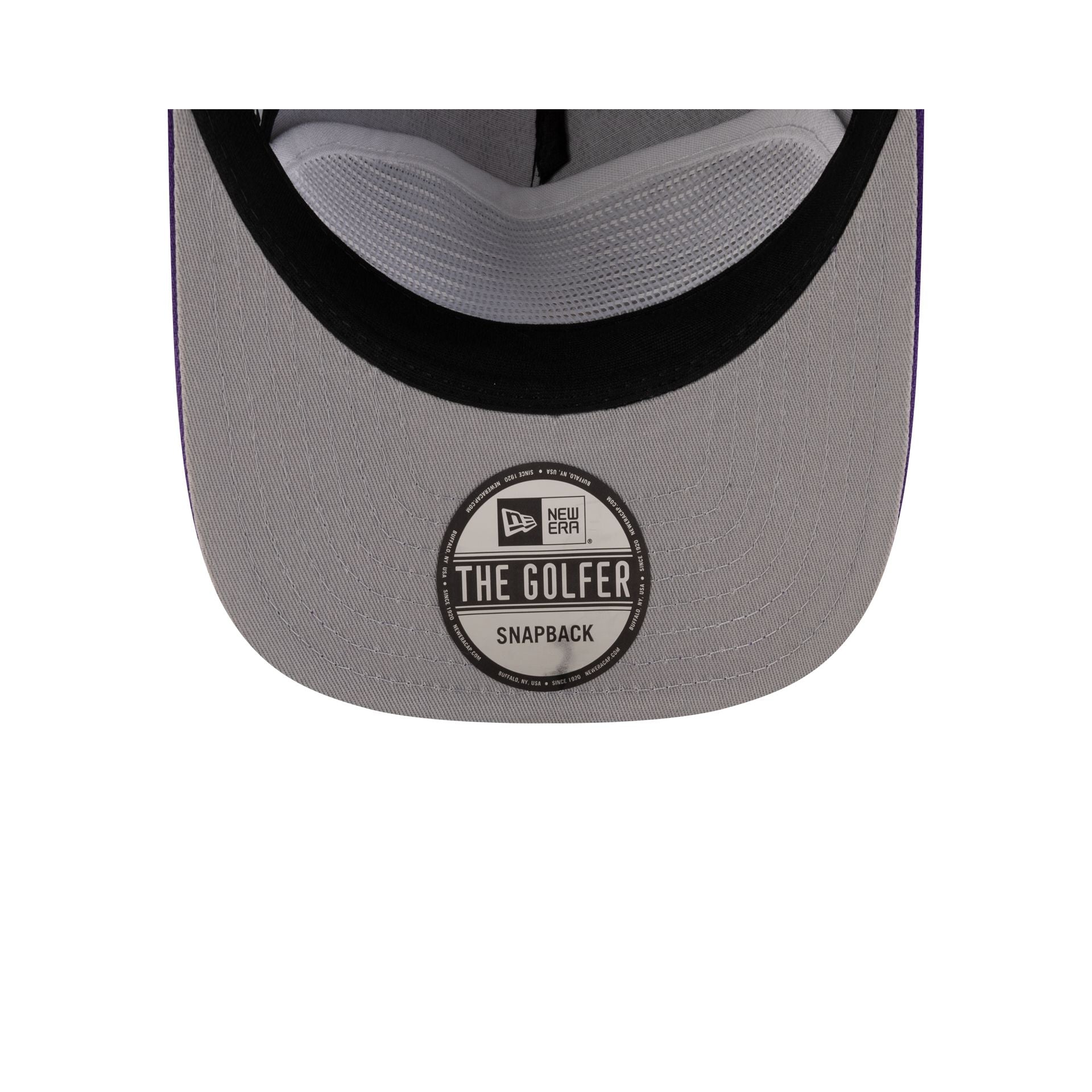Minnesota Vikings 2025 Draft Golfer Hat