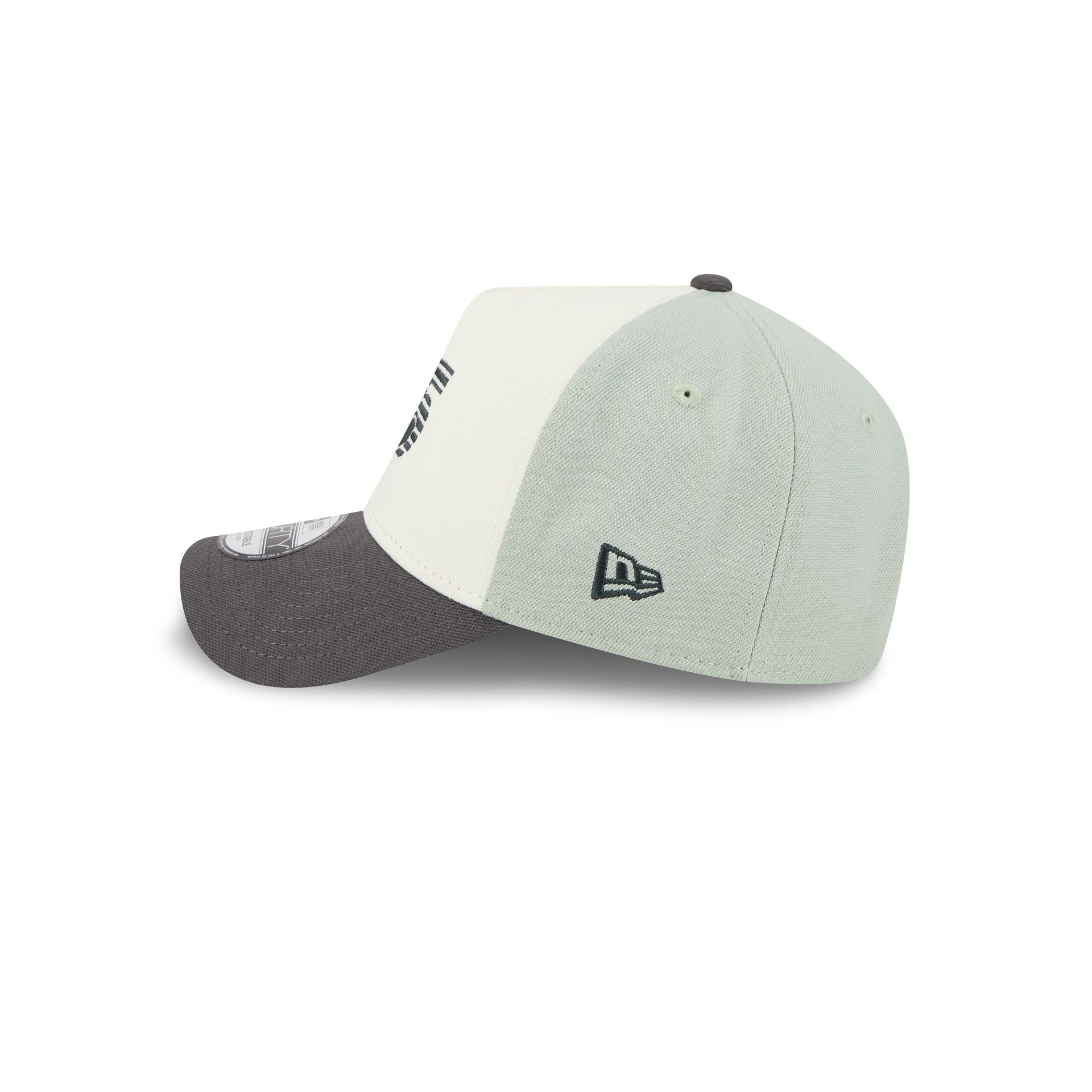 Diablos Rojos del M��xico Mint 9FORTY A-Frame Snapback Hat
