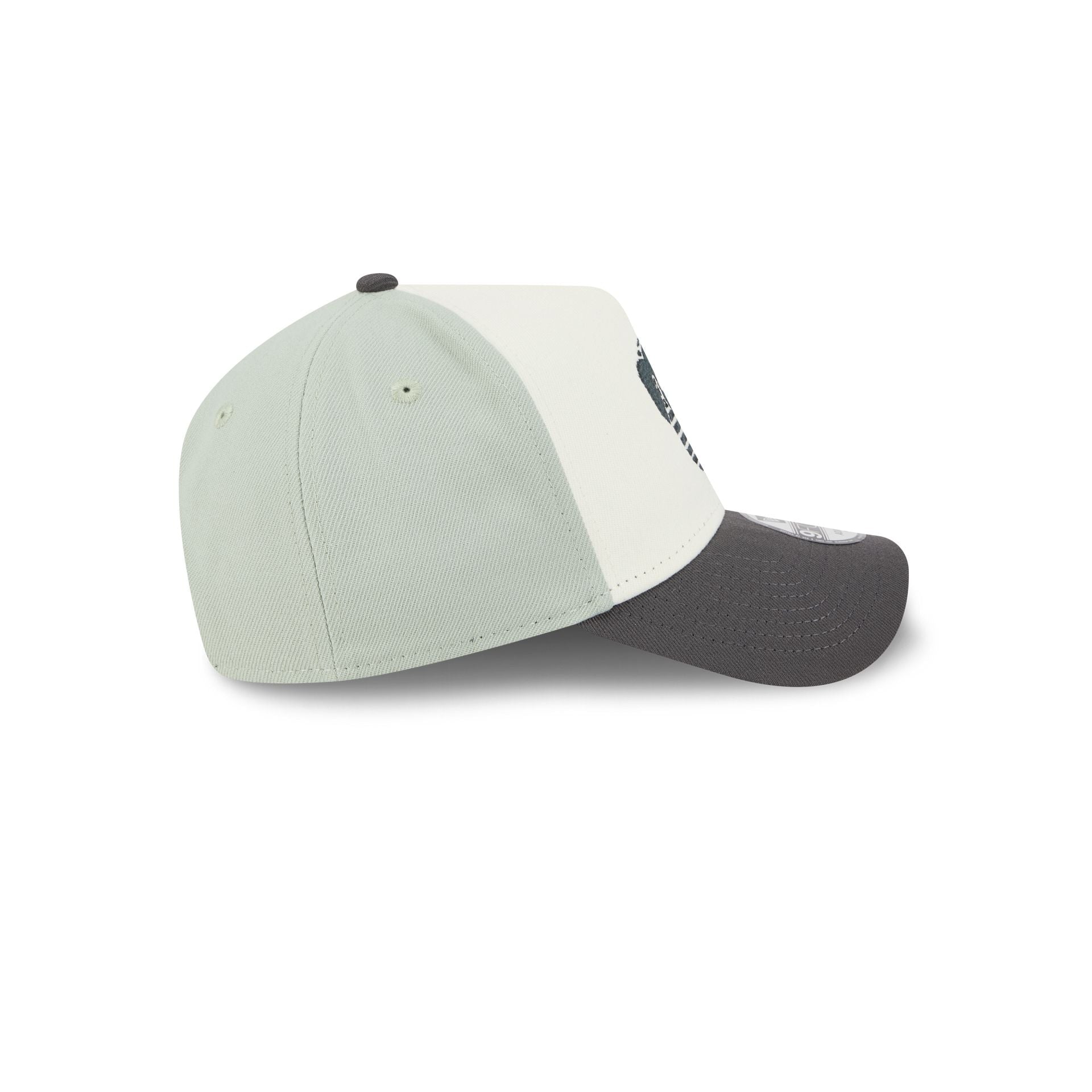 Diablos Rojos del M��xico Mint 9FORTY A-Frame Snapback Hat