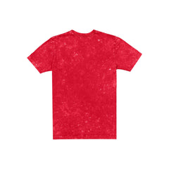 Ohio State Buckeyes Throwback Washed T-Shirt