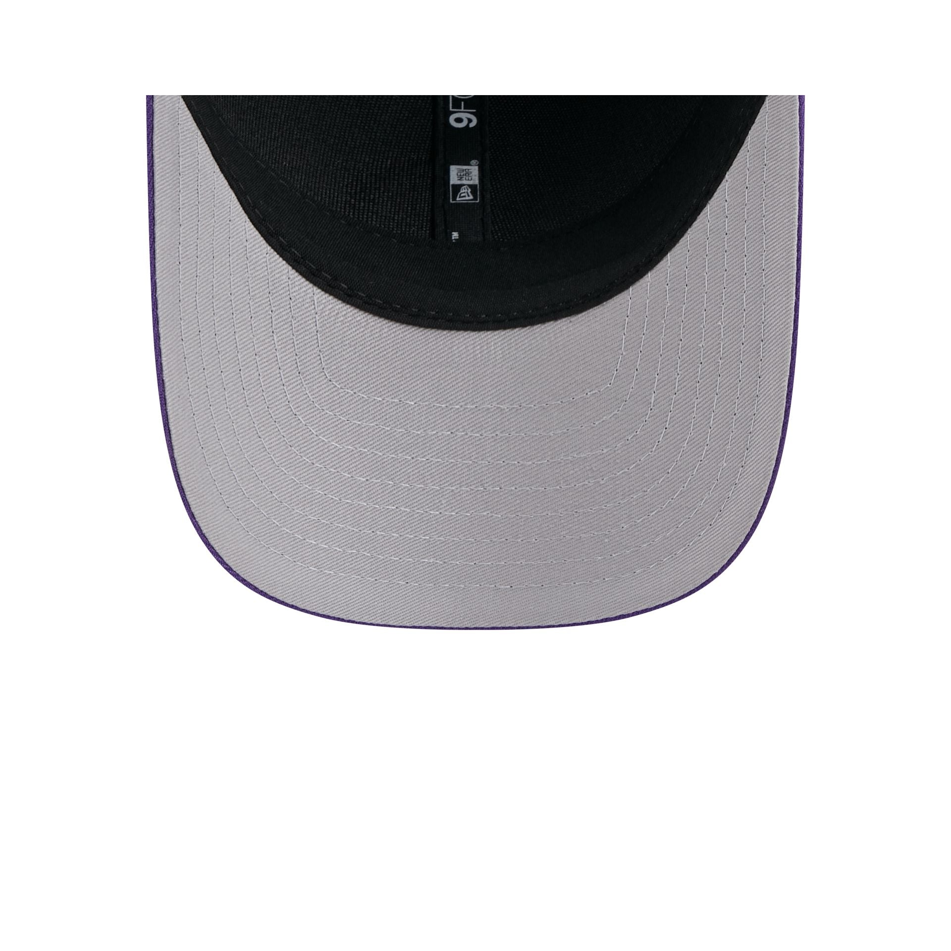 Minnesota Vikings Team 9FORTY M-Crown Snapback Hat