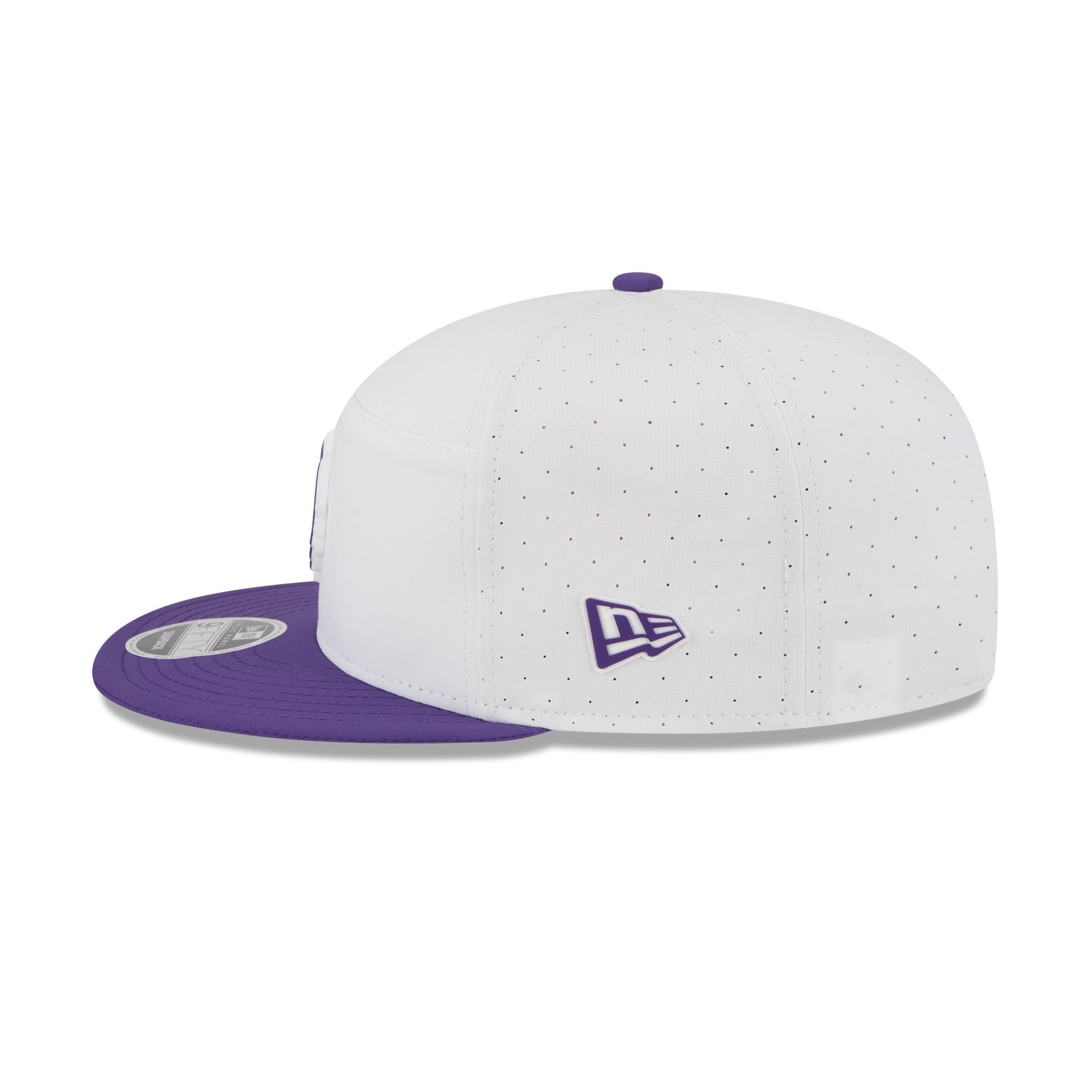 Minnesota Vikings 2025 Training Split Panel 9FIFTY Snapback Hat
