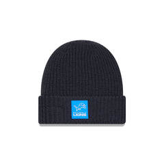 Detroit Lions 2025 Sideline Cold Weather Steel Clouds Cuff Knit Beanie