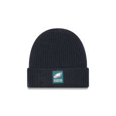 Philadelphia Eagles 2025 Sideline Cold Weather Steel Clouds Cuff Knit Beanie