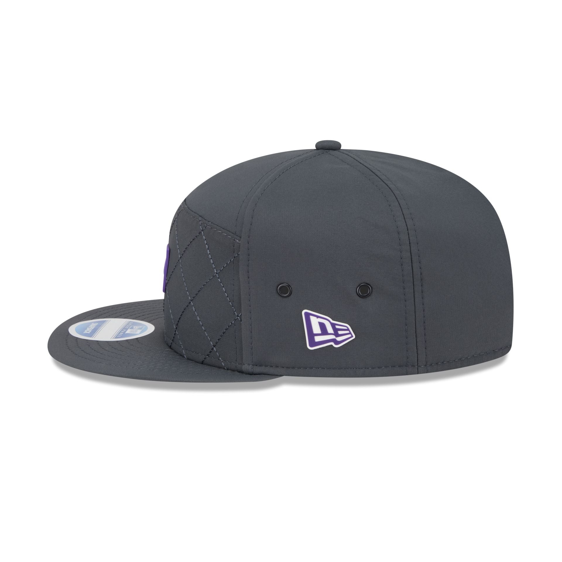 Minnesota Vikings 2025 Sideline Cold Weather Steel Clouds Split Panel 9FIFTY Snapback Hat
