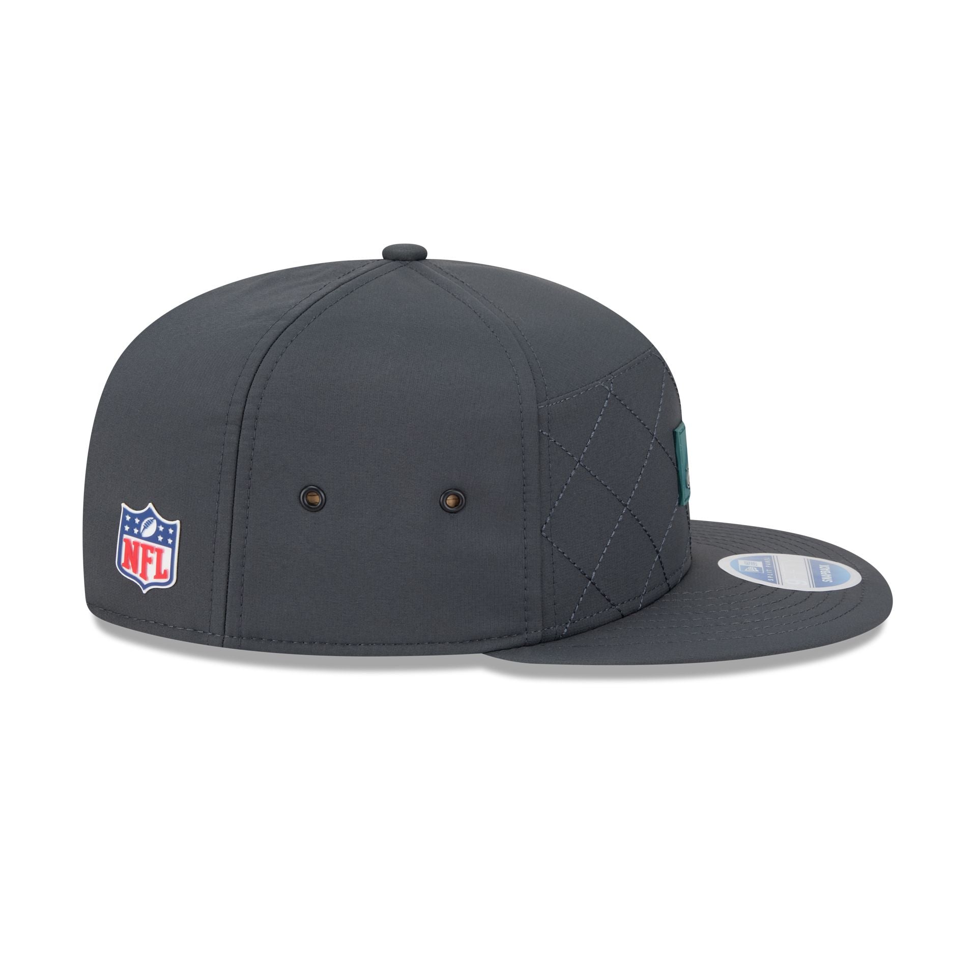 Philadelphia Eagles 2025 Sideline Cold Weather Steel Clouds Split Panel 9FIFTY Snapback Hat
