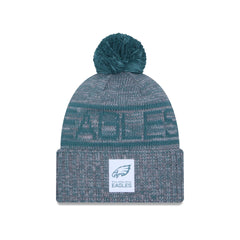Philadelphia Eagles 2025 Sideline Cold Weather Gray Pom Knit Hat