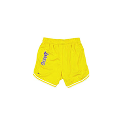 Los Angeles Lakers Team Color Women's Summer Shorts