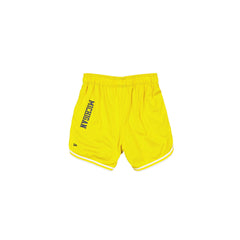 Michigan Wolverines Team Color Women's Summer Shorts