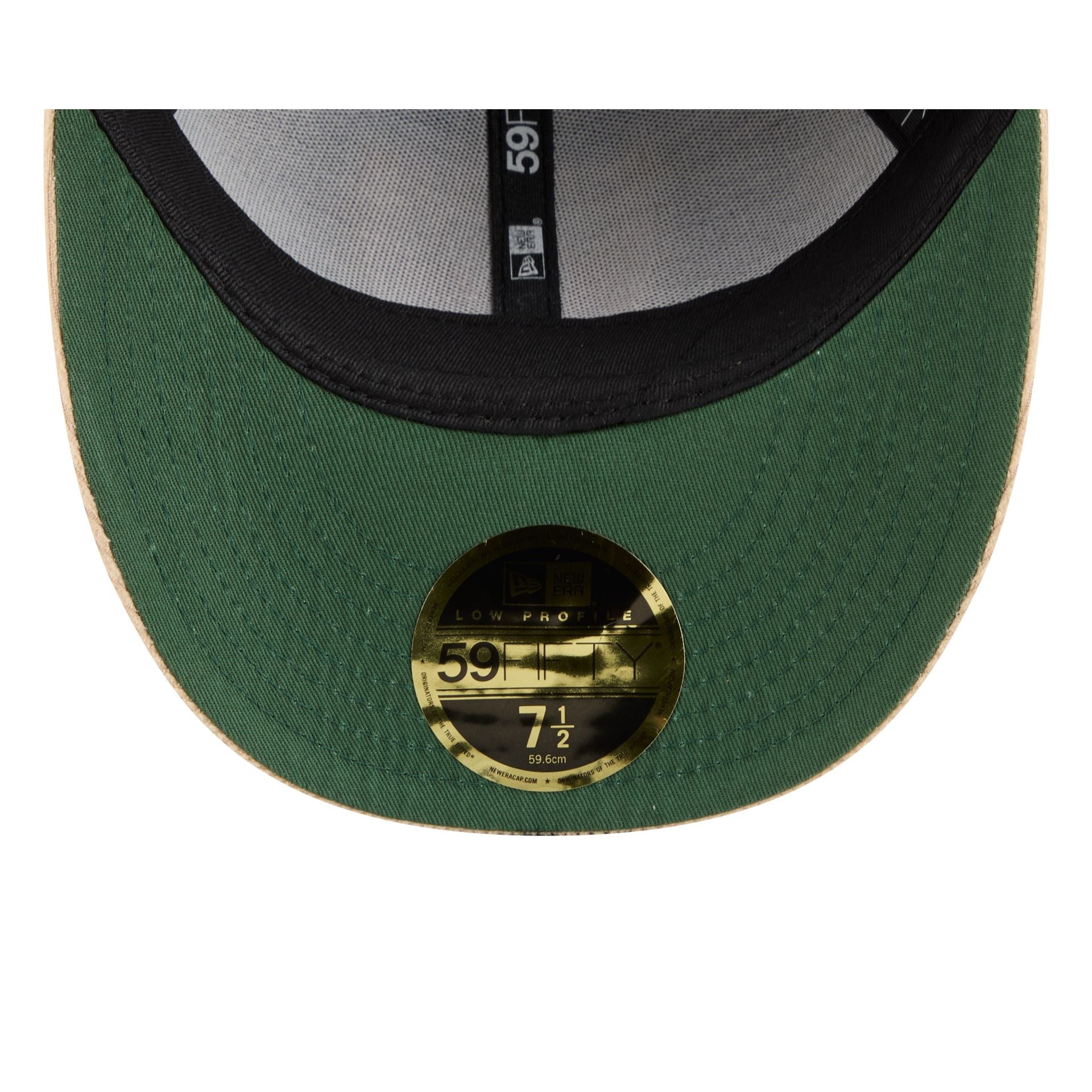 Las Vegas Raiders Fall Velvet Low Profile 59FIFTY Fitted Hat