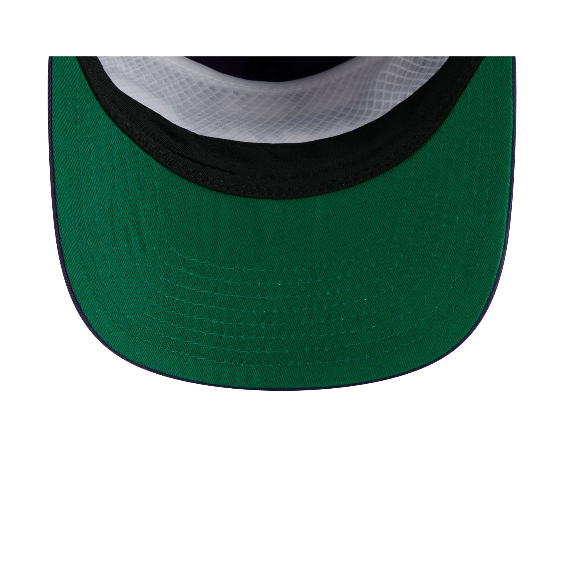 LSU Tigers Script 19TWENTY Snapback Hat