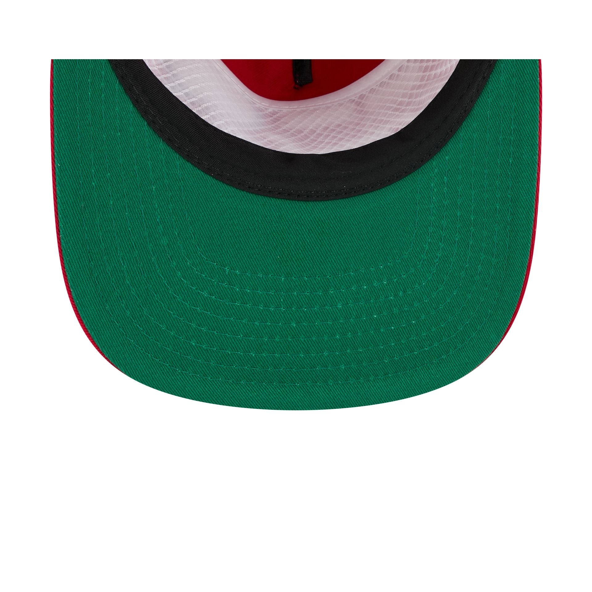Ohio State Buckeyes Script 19TWENTY Snapback Hat