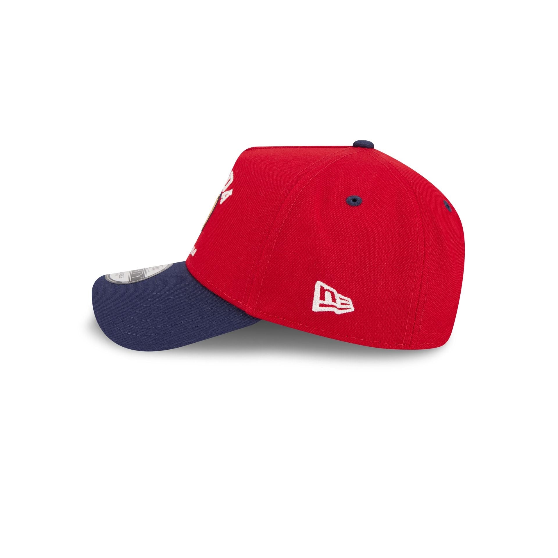 Florida Panthers Arched 9FORTY A-Frame Snapback Hat