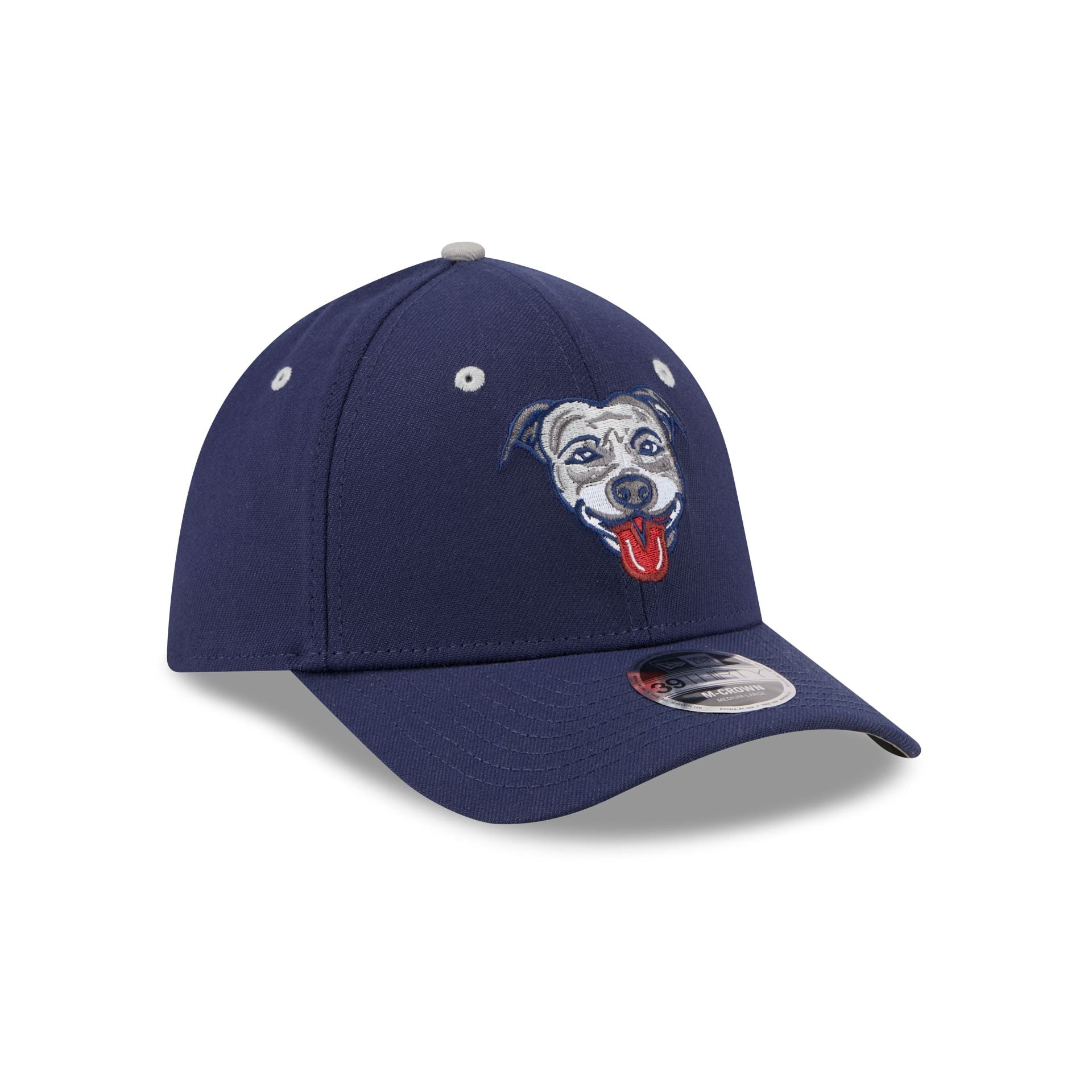 Lehigh Valley IronPigs Theme Night Navy 39THIRTY M-Crown Stretch Fit Hat