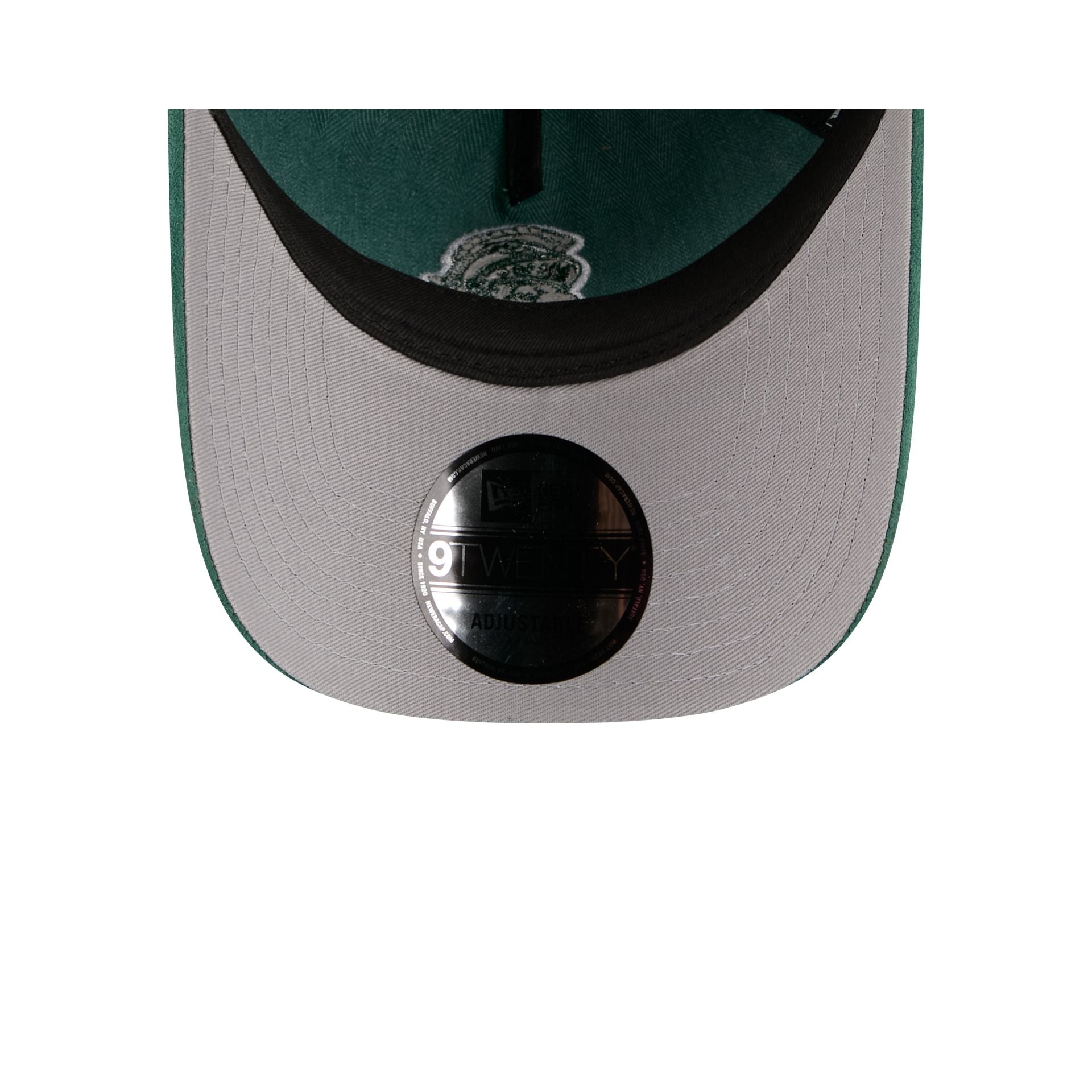 Michigan State Spartans Herringbone Team Colors 9TWENTY A-Frame Adjustable Hat