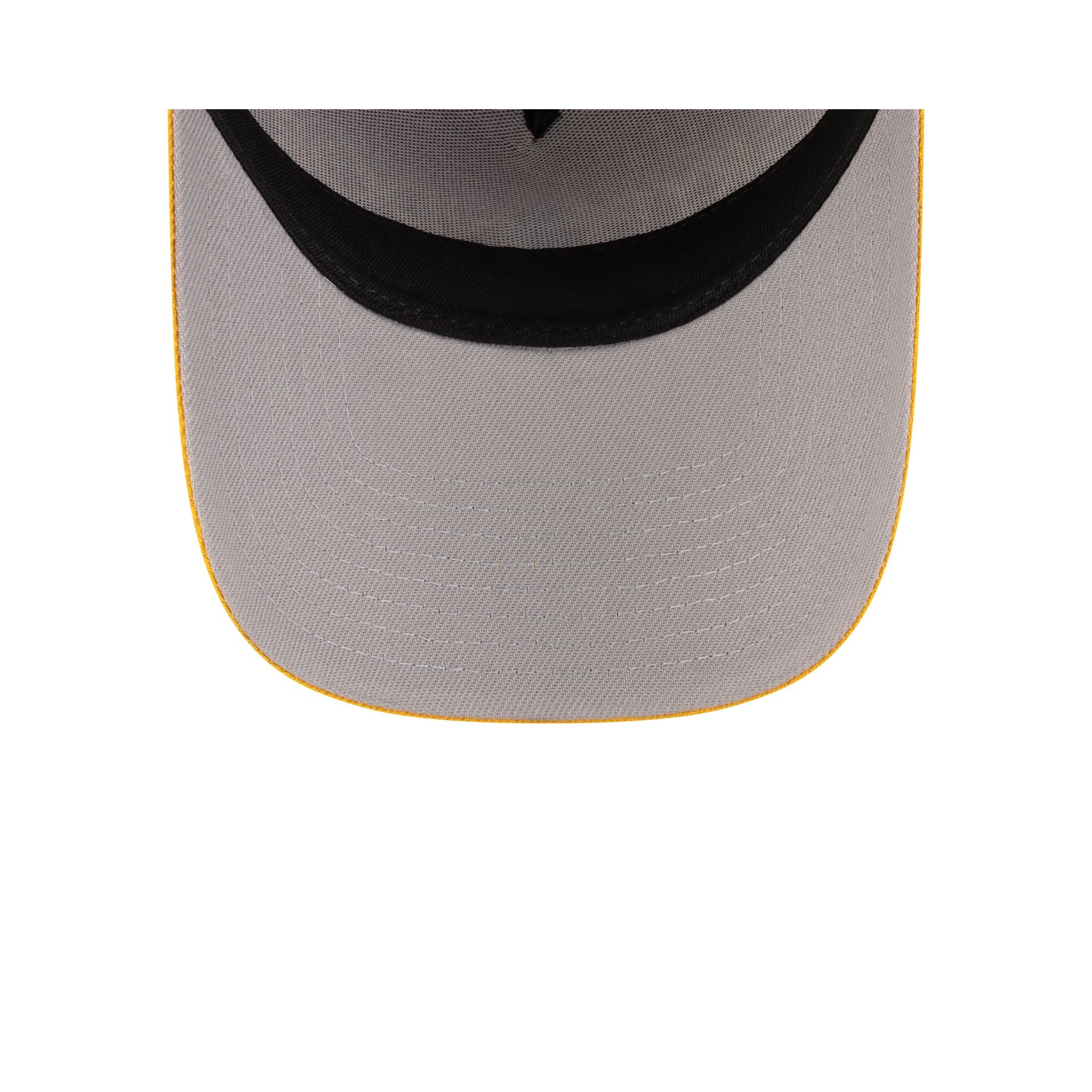 Harry Potter Gryffindor 9FORTY A-Frame Snapback Hat