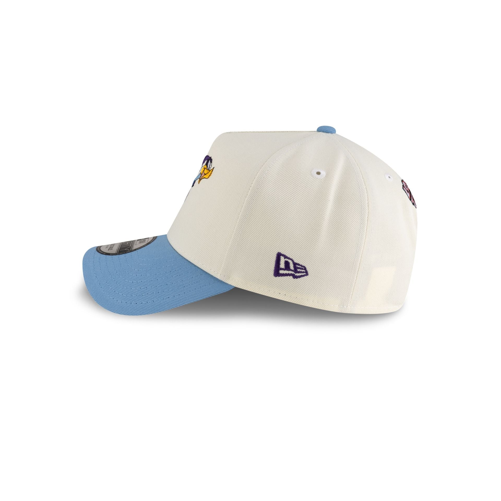 Looney Tunes Roadrunner 9FORTY A-Frame Snapback Hat