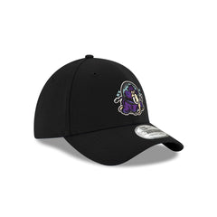 Erie Moon Mammoths 39THIRTY Stretch Fit Hat