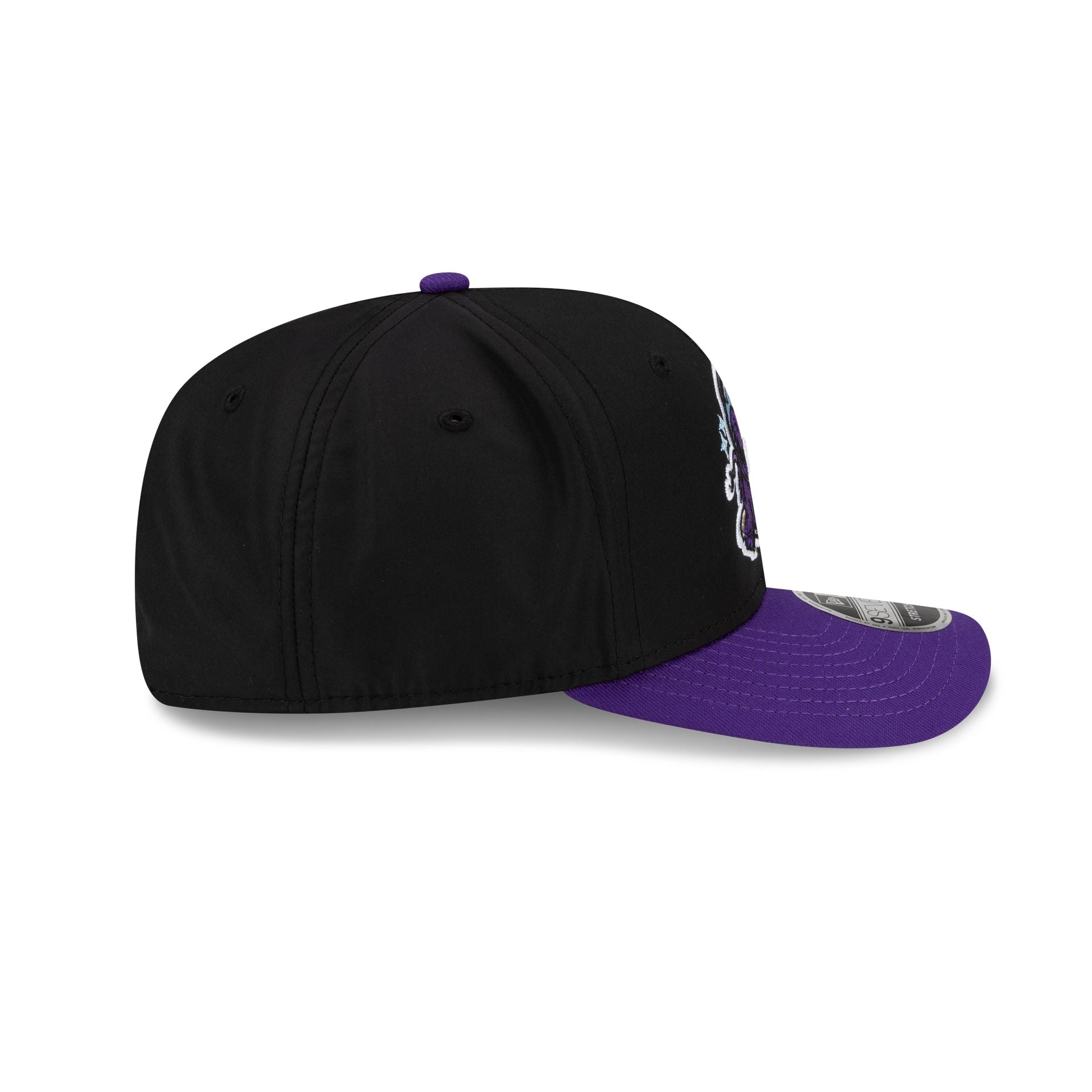 Erie Moon Mammoths Black 9SEVENTY Stretch-Snap Hat